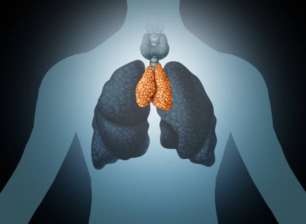 best doctor for thymoma in vashi